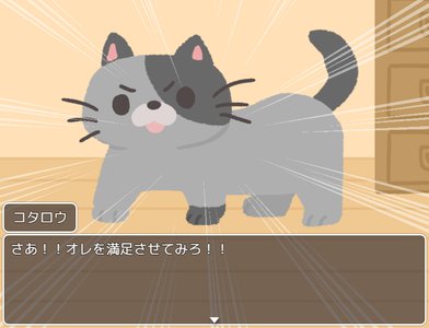 家猫コタロウ